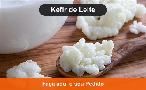 Kefir de Leite - Kefir em Rio Branco - AC Kefir de Leite - Kefir em Rio Branco - AC