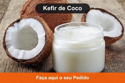 Kefir de Leite de Coco - Kefir em Rio Branco - AC Kefir de Leite de Coco - Kefir em Rio Branco - AC