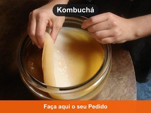 Kombuchá - Kefir em Rio Branco - AC Kombuchá - Kefir em Rio Branco - AC