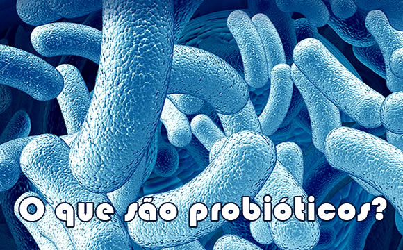 O que são Probióticos ? Quais os Benefícios ?